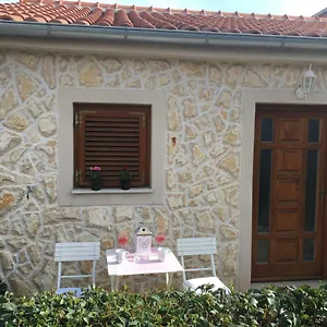 Croatian , Zadar Croacia